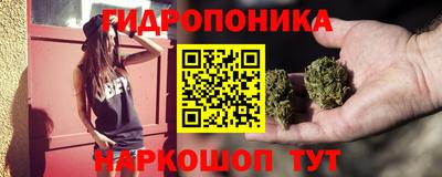 PSILOCYBIN Будённовск