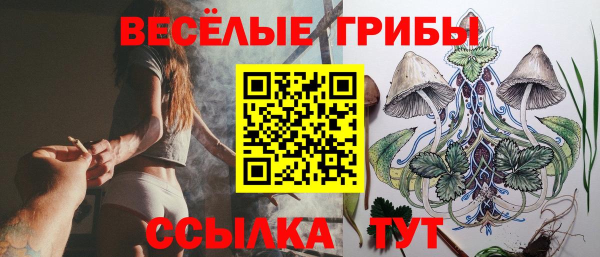 Галлюциногенные грибы Cubensis  Псилоцибиновые грибы Magic Shrooms  Костомукша  Вход с VPN 